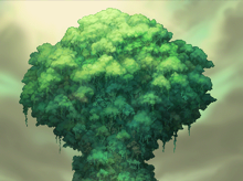 The Mana Story